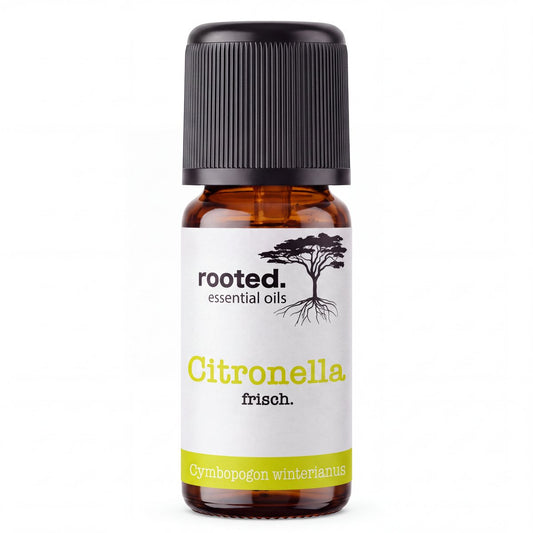 rooted. Citronellaöl 10ml – naturreines ätherisches Öl (Cymbopogon winterianus)