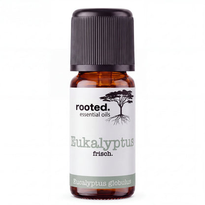 rooted. Eukalyptusöl 10ml – naturreines ätherisches Öl (Eucalyptus globulus)