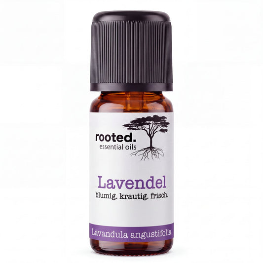 rooted. BIO Lavendelöl 10ml – naturreines ätherisches Öl (Lavandula angustifolia)