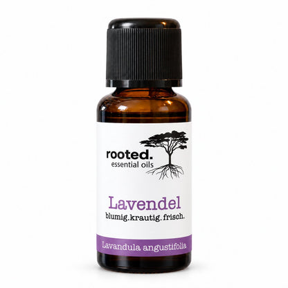 rooted. BIO Lavendelöl 30ml – naturreines ätherisches Öl (Lavandula angustifolia)