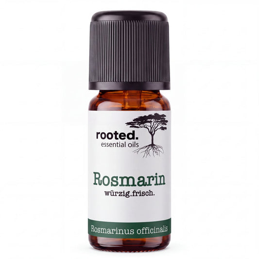 rooted. Rosmarinöl 10ml – naturreines ätherisches Öl (Rosmarinus officinalis)