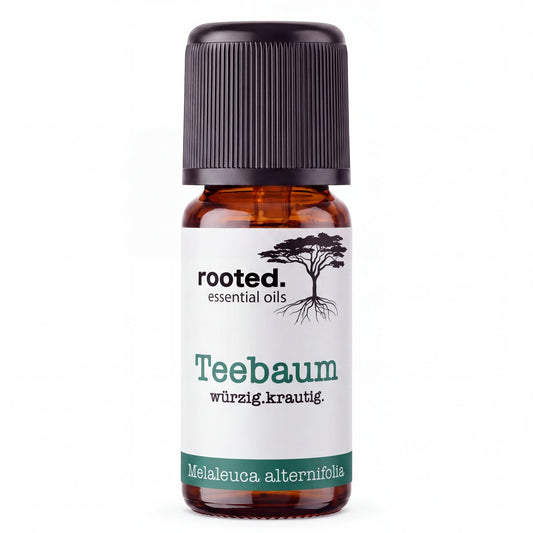 rooted. Teebaumöl 10ml – naturreines ätherisches Öl (Melaleuca alternifolia)