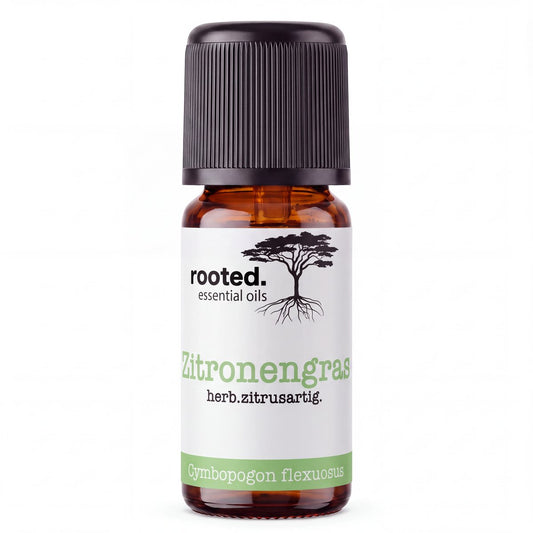 rooted. Zitronengrasöl 10ml – naturreines ätherisches Öl (Cymbopogon flexuosus)