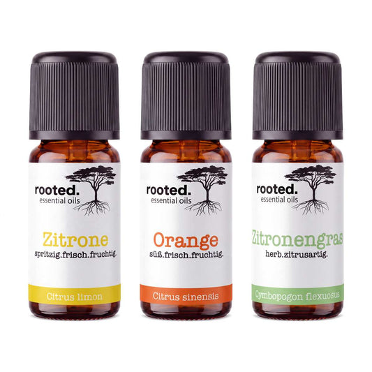 rooted. Zitrus Dream Set 3-teilig – Zitronenöl, Orangenöl und Zitronengrasöl je 10ml